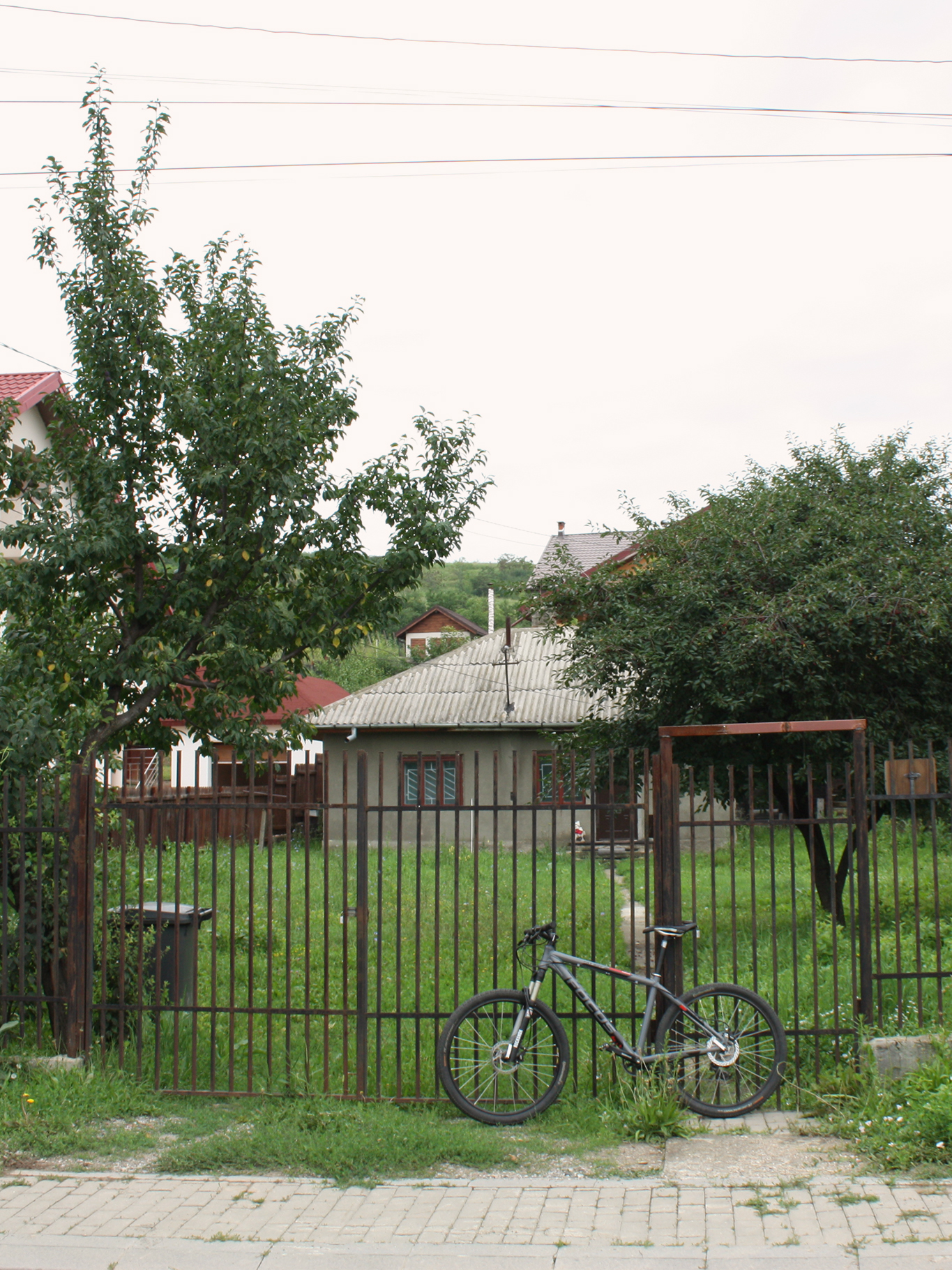 Relevare și analiză